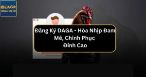 dang ky daga